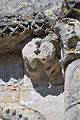 Champagnolles Church Apside Modillon 4.JPG