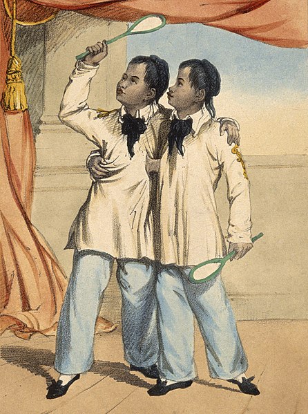 File:Chang and Eng the Siamese twins, aged eighteen, playing badm Wellcome V0007362 (cropped).jpg