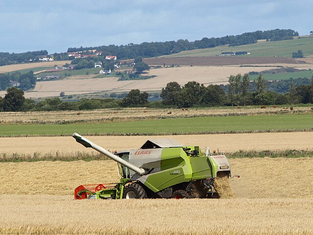 Multifunctional Potato Harvester-Removing Soil and Stem