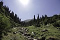 Climbing Tastar-Ata (3.847m) (15123048091).jpg