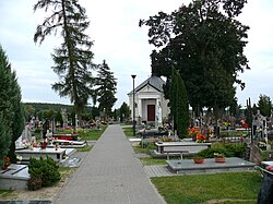 Cmentarz unicki z kaplicą św.Rocha (XIXw.) - Janów Podlaski powiat bialski woj. lubelskie ArPiCh A-79.JPG