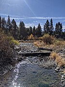 Cold Creek just above confluence, below Donner Lake