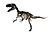 Esqueleto completo de Torvosaurus white background.jpg