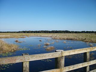 Crews Lake Wilderness Park