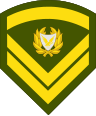 File:Cyprus-Army-OR-6.svg