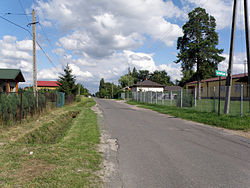 Czaplin - mazowieckie (5) .JPG