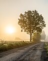 * Nomination Farm road in the Welte hamlet in Kirchspiel, Dülmen, North Rhine-Westphalia, Germany --XRay 03:44, 15 June 2021 (UTC) * Promotion  Support Good quality -- Johann Jaritz 03:55, 15 June 2021 (UTC)