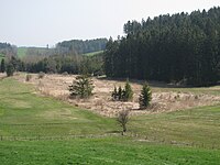 D-BW-Neukirch - Naturschutzgebiet 'Igelsee'.jpg