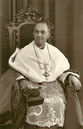 D. António Ildefonso dos Santos Silva, Bispo de Silva Porto