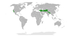 Distribuição natural da família Datiscaeae.