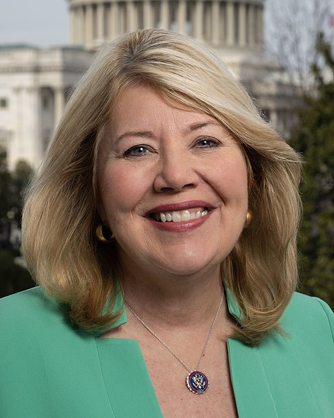 File:Debbie Lesko 118th Cong.jpeg