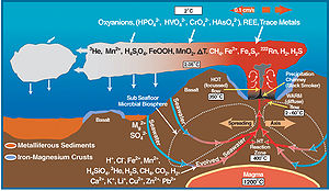 Deep sea vent chemistry diagram.jpg