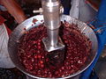 Açaí (palm berry) juice extractor