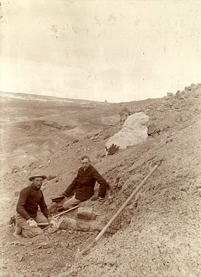 Osborn (r.) and Barnum Brown at Como-Bluff during the American Museum of Natural History expedition of 1897 with limb bone of Diplodocus specimen AMNH