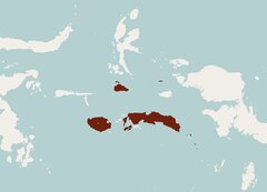 Répartition de Pteropus chrysoproctus.tif