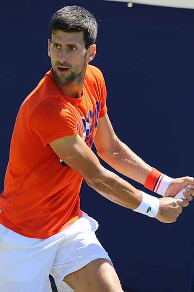 File:Djokovic EBN17 (26) (35046150944).jpg