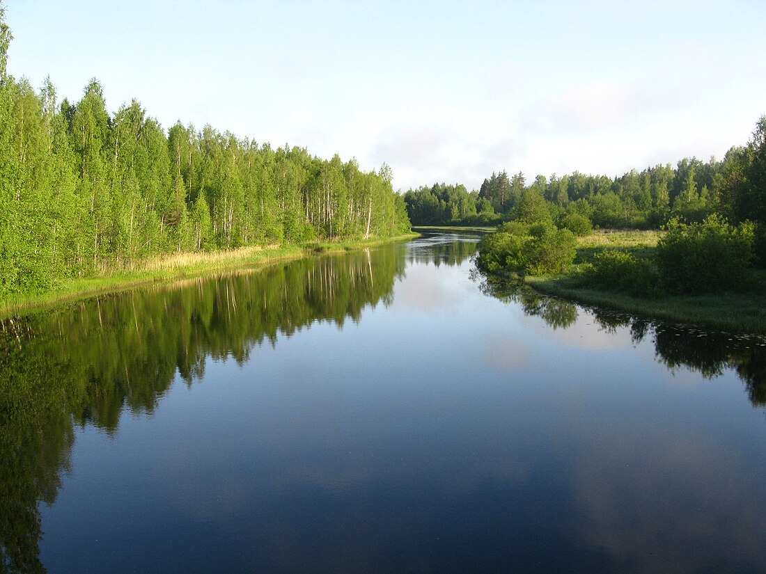 Долгая (приток Луги)