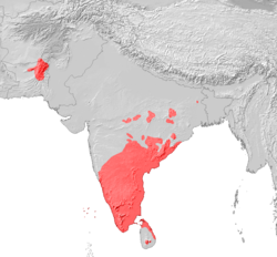 Dravidische Sprachen Verbreitung.png