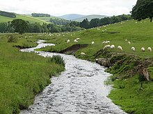 View south from the bridge to Darnhall Mains Eddleston Water - geograph.org.uk - 568023.jpg
