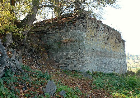 Edersee Liebesinsel Burgrest