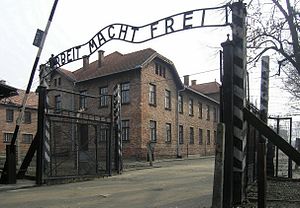 Foto Vom Torhaus Auschwitz-Birkenau: Entstehung, Beschreibung, Analyse