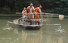 Electrofishing - Wikipedia