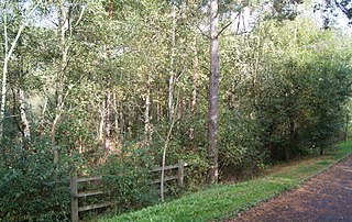 <span class="mw-page-title-main">Elvetham Heath LNR</span> Local nature reserve in Elvetham Heath