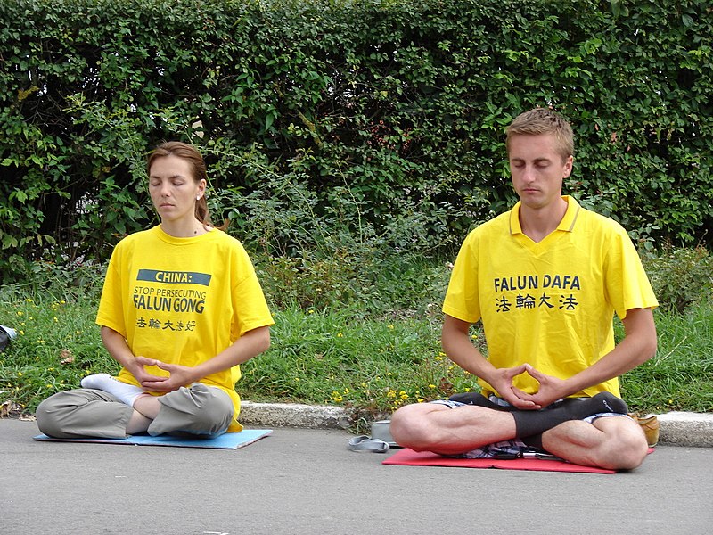 File:Falun Dafa, the fifth exercise.jpg