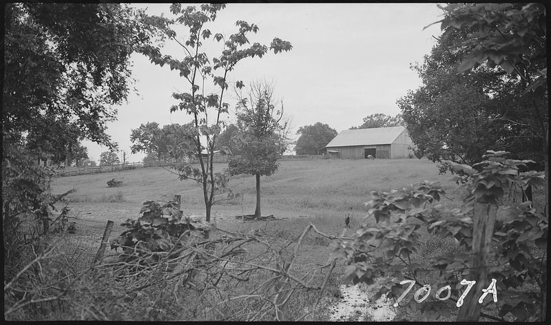 File:Farm scene - NARA - 280710.tif