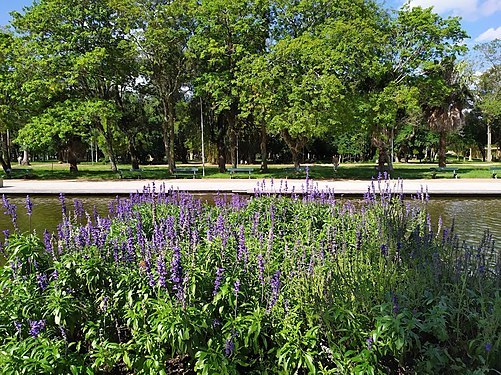 Park Farroupilha in a sunny day.