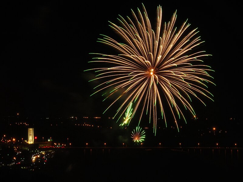File:Fireworks, Niagara Falls (460530) (9446785721).jpg