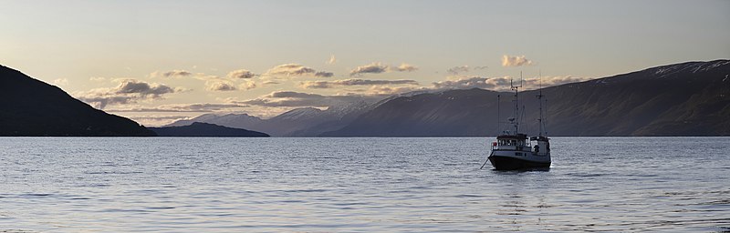 File:Fishing boat at Strandvoll, Storfjorden in evening, 2012 June.jpg