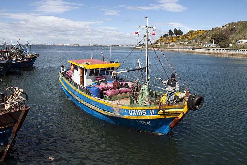 File:Fishing boat in Punta Arenas.jpg