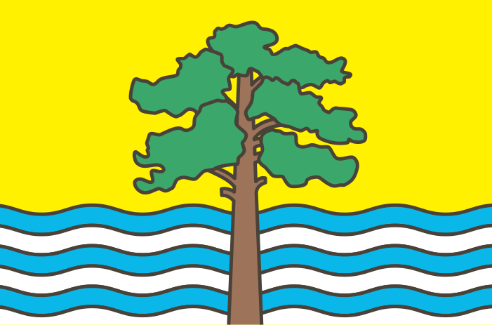 File:Flag of Borek.svg