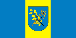 Flag of Dziaržynsk, Belarus.svg