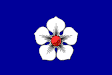Haguenau zászlaja