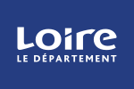 Thumbnail for Departmental Council of Loire