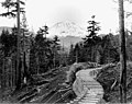 Flume construction showing Mount Rainier in background, December 30, 1903 (SPWS 220).jpg