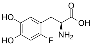 <span class="mw-page-title-main">Fluorodopa</span> Chemical compound