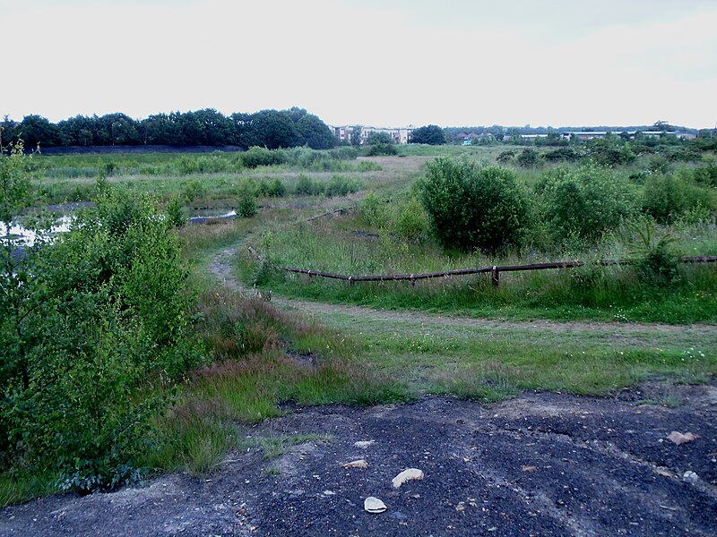 File:Footpath from Flood Defence Bank to Allerton Bywater - geograph.org.uk - 3021740.jpg