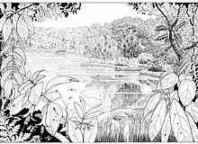 This reconstruction of the lake at Foulden Maar 23 million years ago was commissioned by palaeontologist Daphne Lee and drawn by artist/ecologist Paula Peeters. Foulden Maar reconstruction by Paula Peeters.jpg