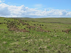 Foulplay Knowe and Long Hill - geograph.org.uk - 3517190.jpg