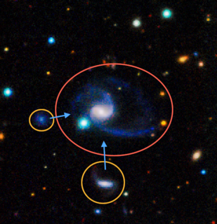 GAMA202627 galaxy