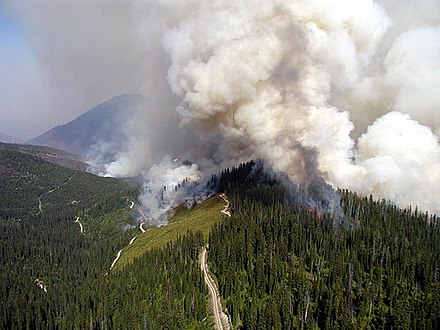 Wildfires burned 13% of the park in 2003.