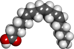 Gamma linolenic acid spacefill.png