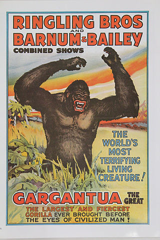 <span class="mw-page-title-main">Gargantua (gorilla)</span> Circus animal (1929–1949)