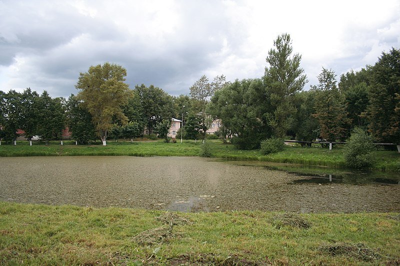 File:Gavrilovyam-pond.jpg