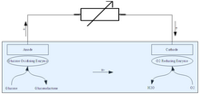 A general diagram for an enzymatic biofuel cell using Glucose and Oxygen. The blue area indicates the electrolyte. General Enzyme Fuel Cell Diagram.png