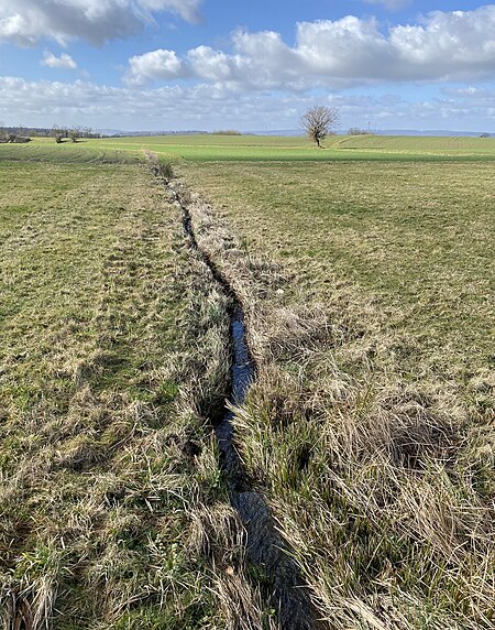 Gers oberhalb Schönborn