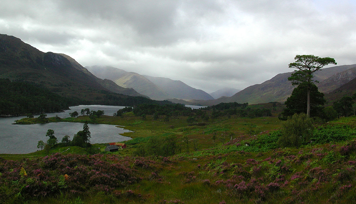 Glen Affric - Wikipedia